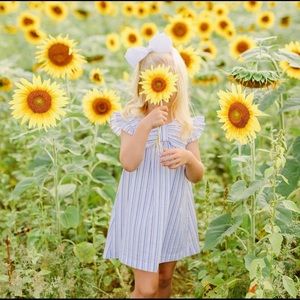 Bella bliss summer dress